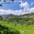  Land for sale in Mira, Carchi, Jijon Y Caamano Cab En Rio Blanco, Mira