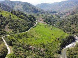  Land for sale in Mira, Carchi, Jijon Y Caamano Cab En Rio Blanco, Mira