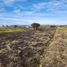  Land for sale in Cardenal Caro, Libertador General Bernardo Ohiggins, La Estrella, Cardenal Caro