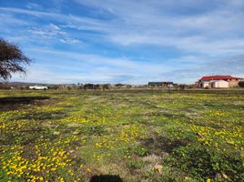  Land for sale in Cardenal Caro, Libertador General Bernardo Ohiggins, La Estrella, Cardenal Caro