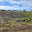  Land for sale in Cardenal Caro, Libertador General Bernardo Ohiggins, La Estrella, Cardenal Caro
