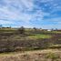  Land for sale in Cardenal Caro, Libertador General Bernardo Ohiggins, La Estrella, Cardenal Caro