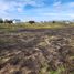  Land for sale in Cardenal Caro, Libertador General Bernardo Ohiggins, La Estrella, Cardenal Caro