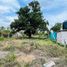  Land for sale in Tlalixcoyan, Veracruz, Tlalixcoyan