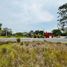  Land for sale in Tlalixcoyan, Veracruz, Tlalixcoyan