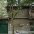 6 Schlafzimmer Haus zu verkaufen in Alvaro Obregon, Mexico City, Alvaro Obregon