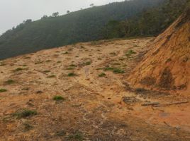  Terreno (Parcela) en venta en Barbosa, Antioquia, Barbosa