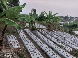  Tanah for sale in Ngamprah, Bandung, Ngamprah