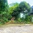  Land for sale in Cavite, Calabarzon, Silang, Cavite