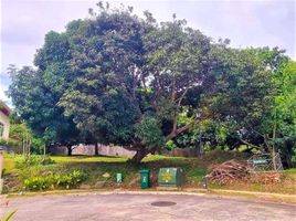  Land for sale in Cavite, Calabarzon, Silang, Cavite