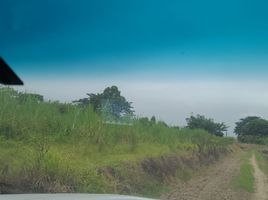  Land for sale in Milagro, Guayas, Milagro, Milagro