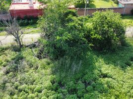  Land for sale in Ayala, Morelos, Ayala