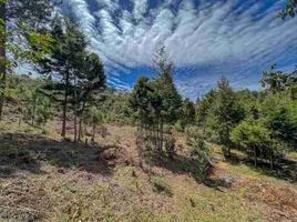  Terrain for sale in Guarne, Antioquia, Guarne