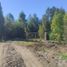  Land for sale in Chile, Quemchi, Chiloe, Los Lagos, Chile