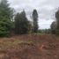  Land for sale in Chile, Quemchi, Chiloe, Los Lagos, Chile