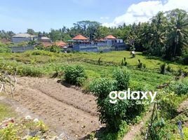  Tanah for sale in Sukawati, Gianyar, Sukawati