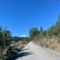  Land for sale in Chile, Villarrica, Cautin, Araucania, Chile