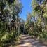  Land for sale in Chile, Villarrica, Cautin, Araucania, Chile