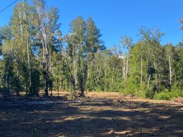  Land for sale in Chile, Villarrica, Cautin, Araucania, Chile