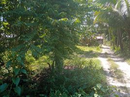  Land for sale in Siquijor, Central Visayas, Larena, Siquijor