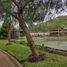  Land for sale in Mala, Lima, Mala