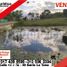  Land for sale in Huila, Neiva, Huila