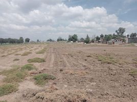  Land for sale in Atenco, Mexico, Atenco