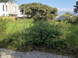  Terreno (Parcela) en venta en Quito, Pichincha, Tumbaco, Quito