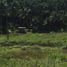  Land for sale in Cebu Central Visayas, Sibonga
