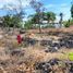  Land for sale in Alcoy, Central Visayas, Alcoy