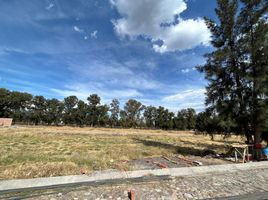  Land for sale in Salamanca, Guanajuato, Salamanca