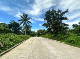  Terreno (Parcela) en venta en Alfonso, Calabarzon, Alfonso