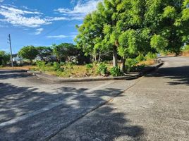  Land for sale in Crimson Beach side, Lapu-Lapu City, Lapu-Lapu City