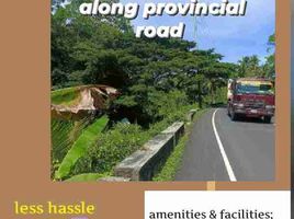  Land for sale in Sogod, Cebu, Sogod