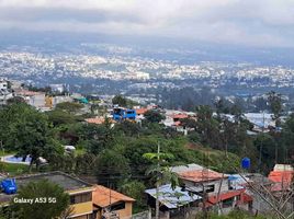  Terreno (Parcela) en venta en Tumbaco, Quito, Tumbaco