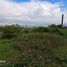  Terrain for sale in Tumbaco, Quito, Tumbaco