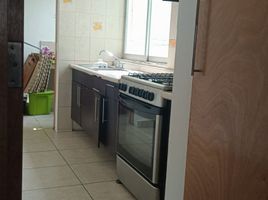 2 Habitación Apartamento en alquiler en Coyoacan, Ciudad de México, Coyoacan