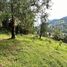  Land for sale in Loja, Loja, Loja, Loja, Loja, Ecuador
