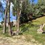  Land for sale in Loja, Loja, Loja, Loja, Loja, Ecuador