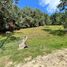  Land for sale in Loja, Loja, Loja, Loja, Loja, Ecuador