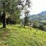  Land for sale in Loja, Loja, Loja, Loja, Loja, Ecuador