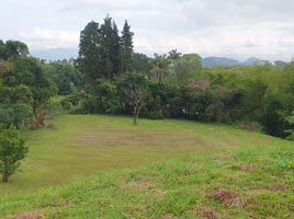  Terreno (Parcela) en venta en Pereira, Risaralda, Pereira