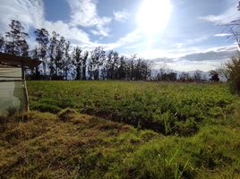  Land for sale in Basilica of the National Vow, Quito, Quito, Quito