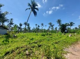  Land for sale in Del Carmen, Caraga, Del Carmen, Surigao del Norte, Caraga