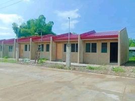 2 Schlafzimmer Villa zu verkaufen in Cebu, Central Visayas, Balamban, Cebu, Central Visayas