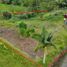  Land for sale in Dosquebradas, Risaralda, Dosquebradas