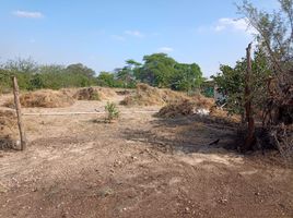  Terreno (Parcela) en venta en Sullana, Piura, Sullana, Sullana