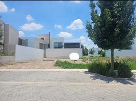 Land for sale in Jesus Maria, Aguascalientes, Jesus Maria