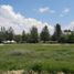  Land for sale in Jesus Maria, Aguascalientes, Jesus Maria