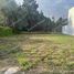  Land for sale in San Jeronimo Tecuanipan, Puebla, San Jeronimo Tecuanipan
